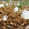 Poistenie proti živlom sa vám oplatí za každých okolností
